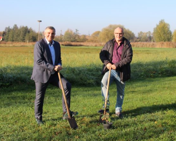 Bürgermeister Marcus Merkel (li.) und Ralf Schmierer pflanzen Eichen auf dem Tennisgelände.